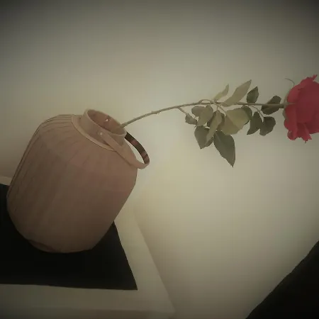 Апартаменты Architect's Падуя