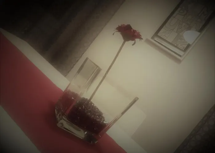 Апартаменты Architect's *